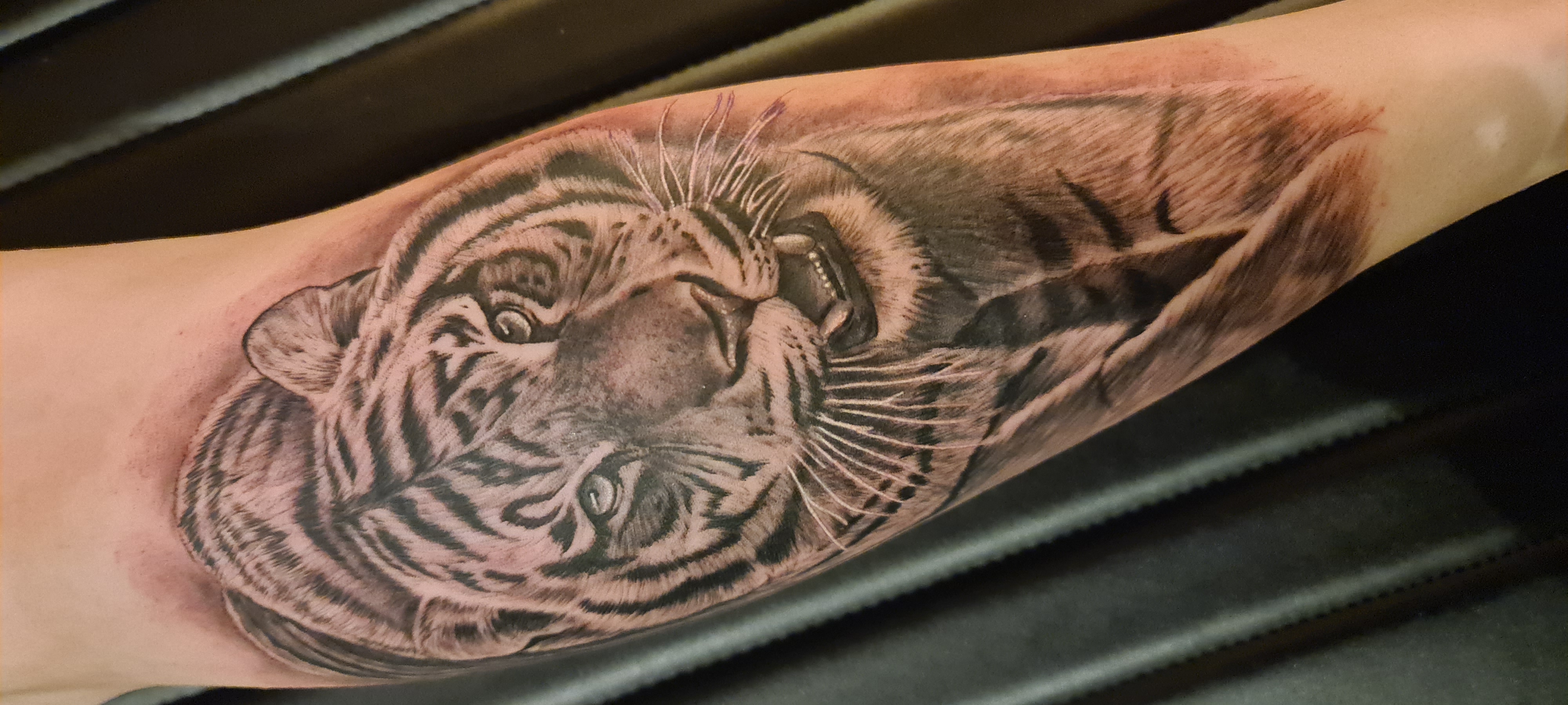 Tiger